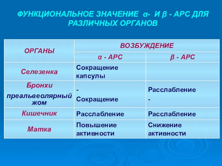 ФУНКЦИОНАЛЬНОЕ ЗНАЧЕНИЕ α- И β - АРС ДЛЯ РАЗЛИЧНЫХ ОРГАНОВ