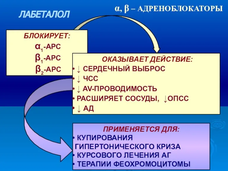 α, β – АДРЕНОБЛОКАТОРЫ ЛАБЕТАЛОЛ БЛОКИРУЕТ: α1-АРС β1-АРС β2-АРС ОКАЗЫВАЕТ ДЕЙСТВИЕ: ↓