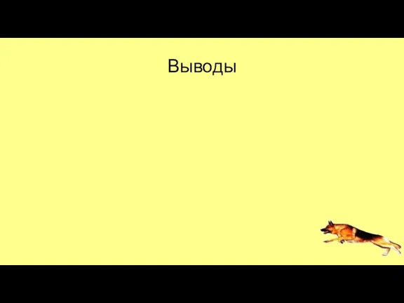 Выводы