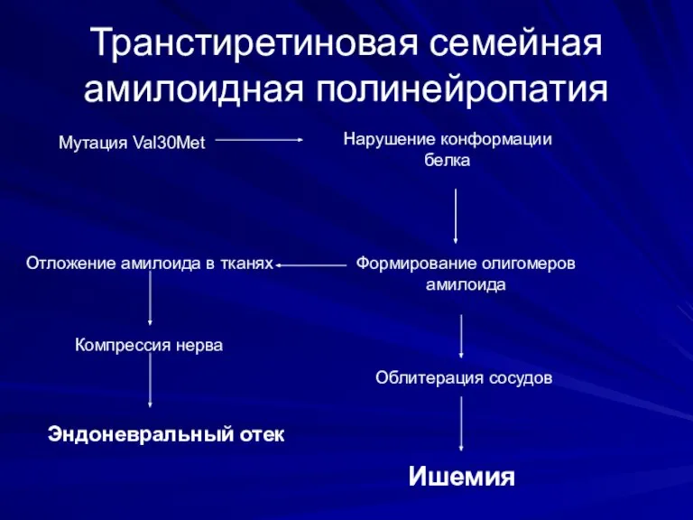 Транстиретиновая семейная амилоидная полинейропатия Мутация Val30Met Нарушение конформации белка Формирование олигомеров амилоида