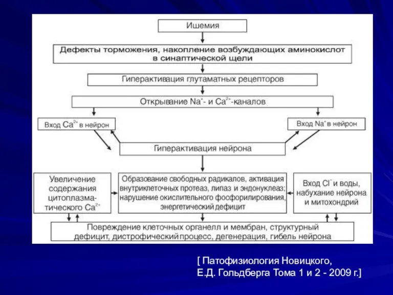 [ Патофизиология Новицкого, Е.Д. Гольдберга Тома 1 и 2 - 2009 г.]