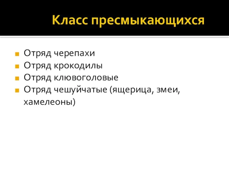 Отряд черепахи Отряд крокодилы Отряд клювоголовые Отряд чешуйчатые (ящерица, змеи, хамелеоны)