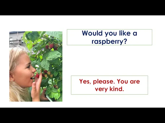Would you like a raspberry? Yes, please. You are very kind.