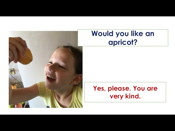 Would you like an apricot? Yes, please. You are very kind.