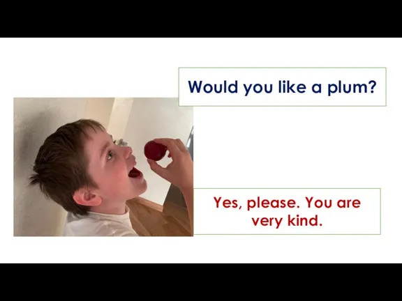 Would you like a plum? Yes, please. You are very kind.