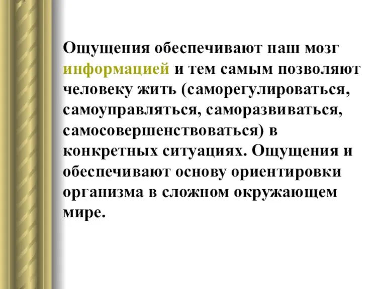 Ощущения обеспечивают наш мозг информацией и тем самым позволяют человеку жить (саморегулироваться,