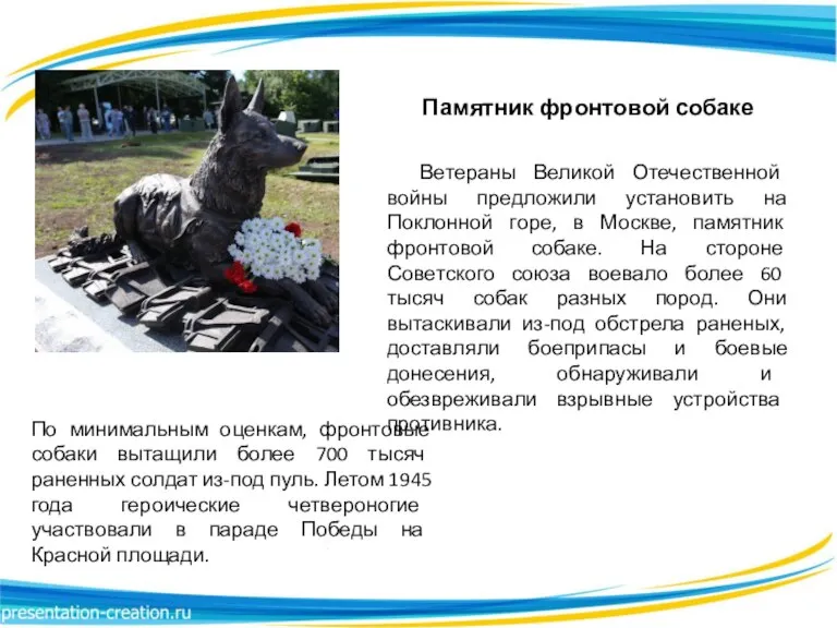 Памятник фронтовой собаке Ветераны Великой Отечественной войны предложили установить на Поклонной горе,