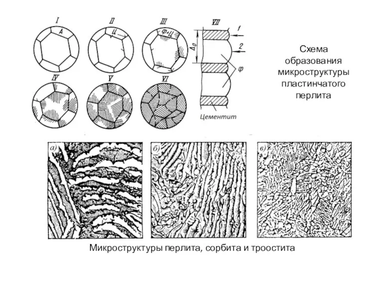 Схема образования микроструктуры пластинчатого перлита Микроструктуры перлита, сорбита и троостита