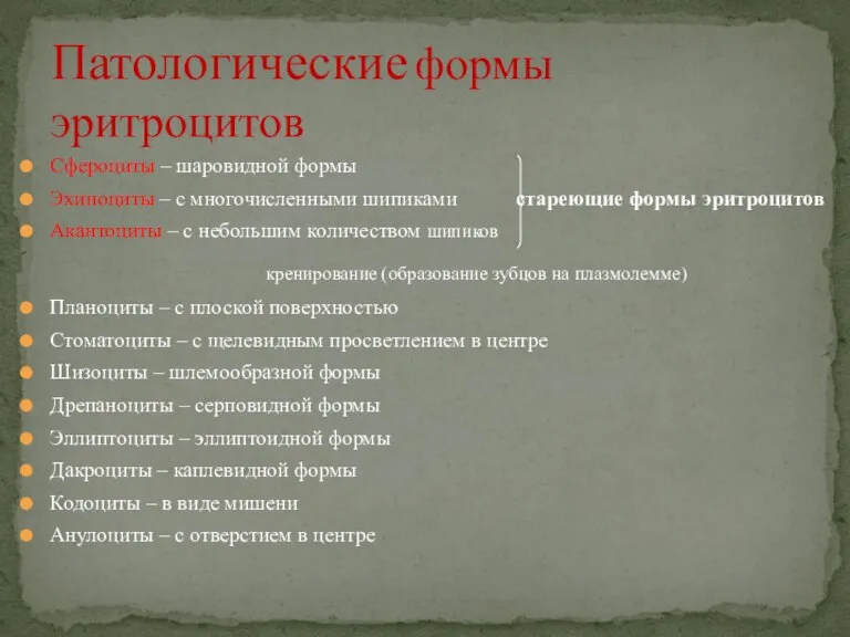 Патологические формы эритроцитов Сфероциты – шаровидной формы Эхиноциты – с многочисленными шипиками