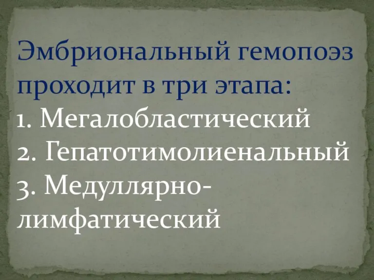 Эмбриональный гемопоэз проходит в три этапа: 1. Мегалобластический 2. Гепатотимолиенальный 3. Медуллярно-лимфатический