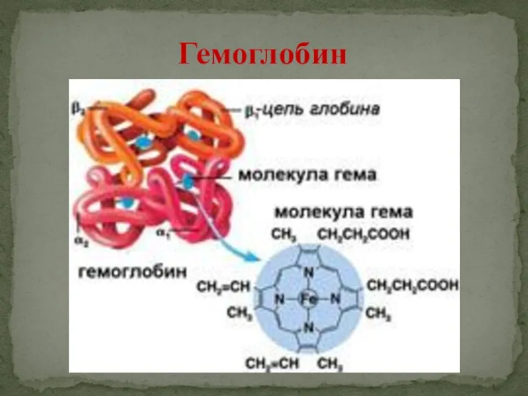 Гемоглобин