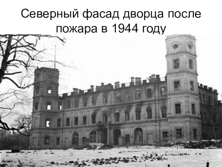Северный фасад дворца после пожара в 1944 году
