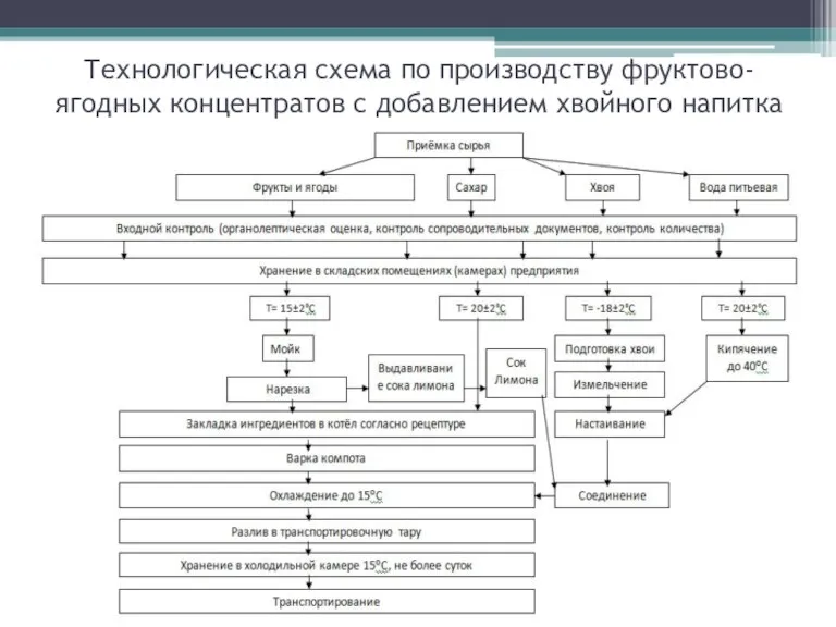 Технологическая схема по производству фруктово-ягодных концентратов с добавлением хвойного напитка