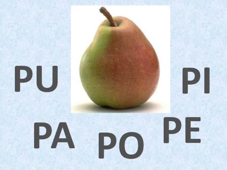 PI PA PU PO PE