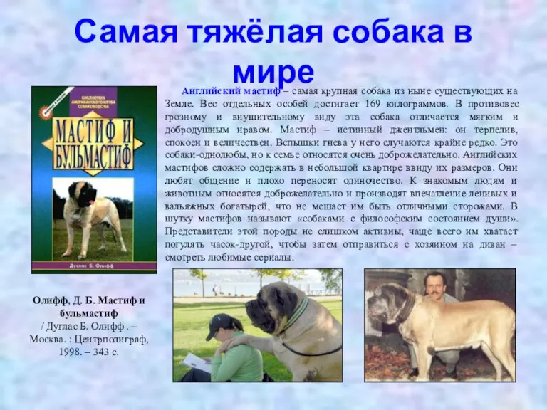 Самая тяжёлая собака в мире Олифф, Д. Б. Мастиф и бульмастиф /
