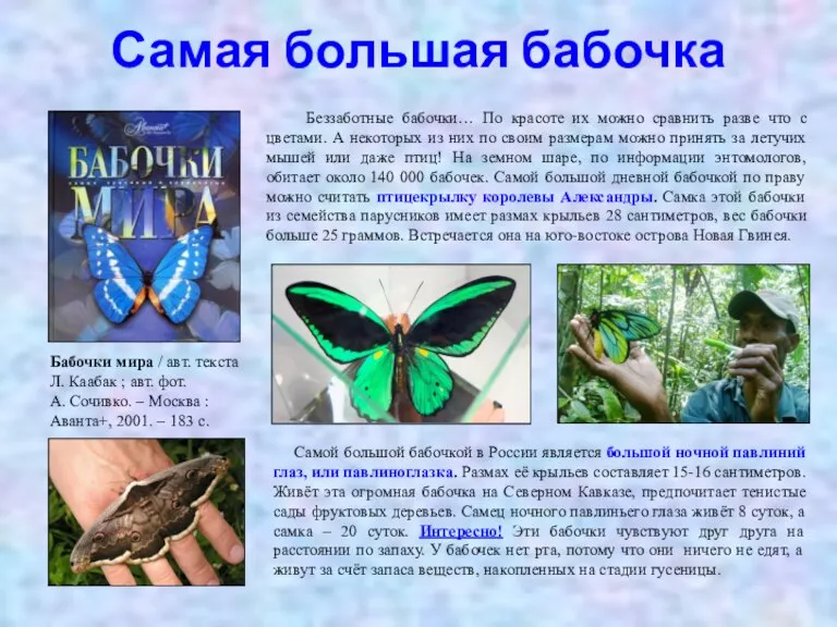Самая большая бабочка Бабочки мира / авт. текста Л. Каабак ; авт.