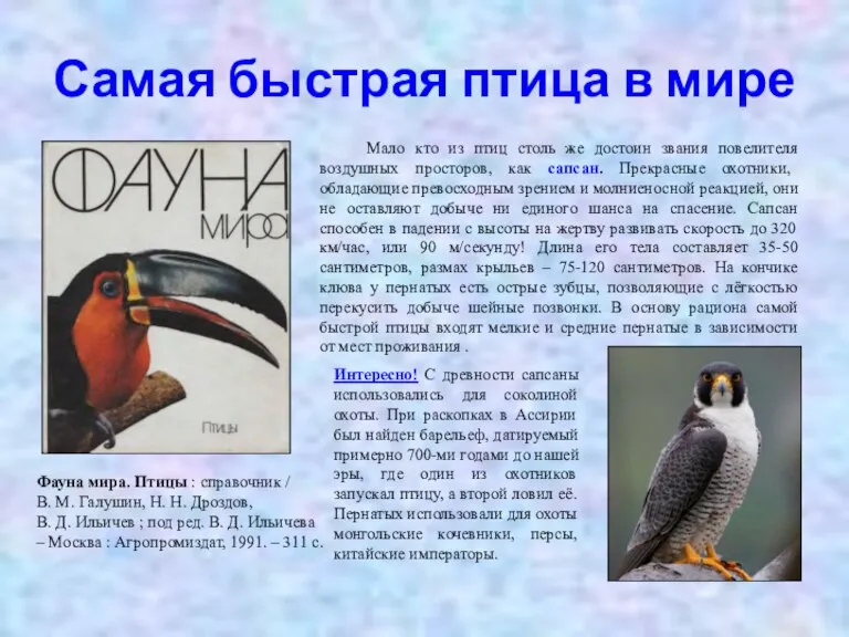 Самая быстрая птица в мире Фауна мира. Птицы : справочник / В.