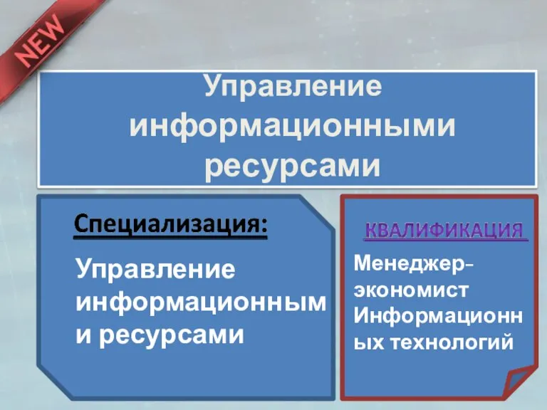 Управление информационными ресурсами Управление информационными ресурсами Менеджер-экономист Информационных технологий