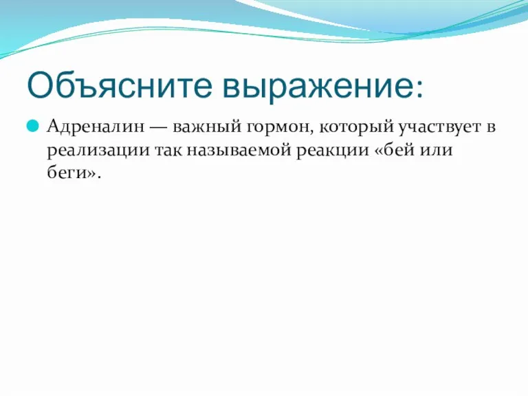 Объясните выражение: Адреналин — важный гормон, который участвует в реализации так называемой реакции «бей или беги».