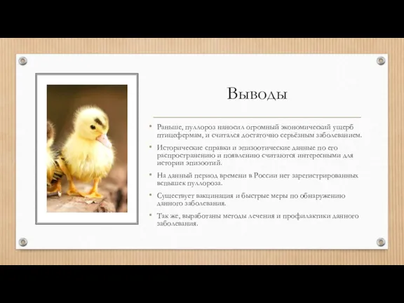 Выводы Раньше, пуллороз наносил огромный экономический ущерб птицефермам, и считался достаточно серьёзным
