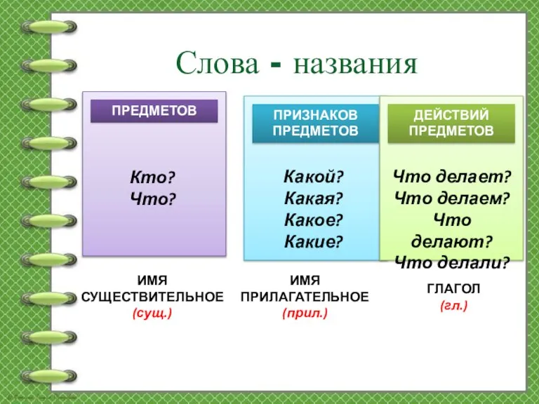 Слова - названия ПРЕДМЕТОВ Кто? Что? ПРИЗНАКОВ ПРЕДМЕТОВ Какой? Какая? Какое? Какие?