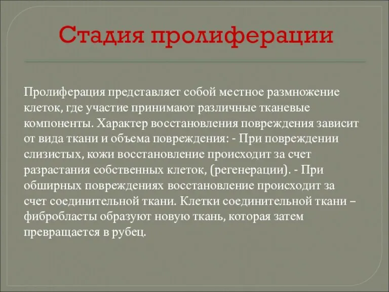 Стадия пролиферации Пролиферация представляет собой местное размножение клеток, где участие принимают различные