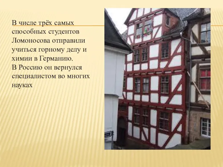 В числе трёх самых способных студентов Ломоносова отправили учиться горному делу и
