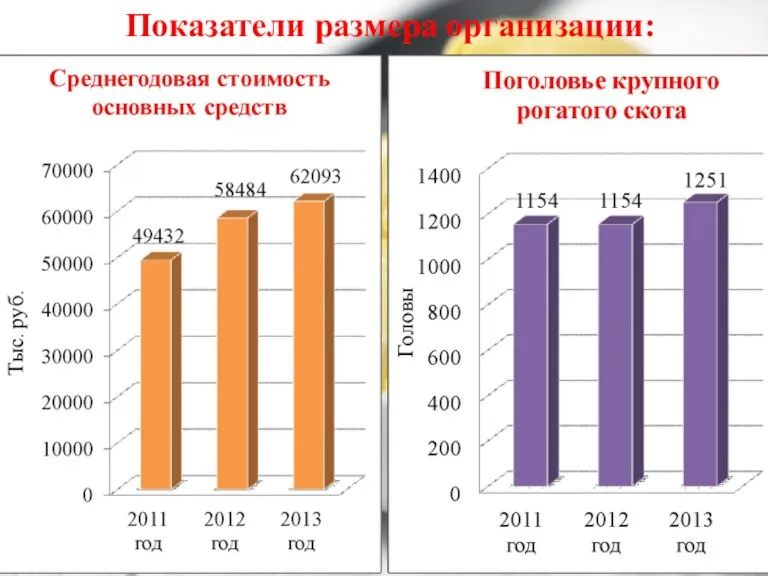 Показатели размера организации: