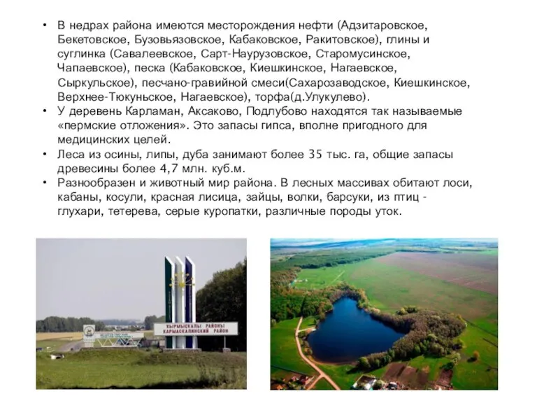 В недрах района имеются месторождения нефти (Адзитаровское, Бекетовское, Бузовьязовское, Кабаковское, Ракитовское), глины