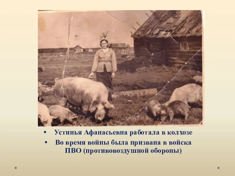 Устинья Афанасьевна работала в колхозе Во время войны была призвана в войска ПВО (противовоздушной обороны)