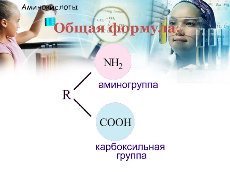 Общая формула. Аминокислоты