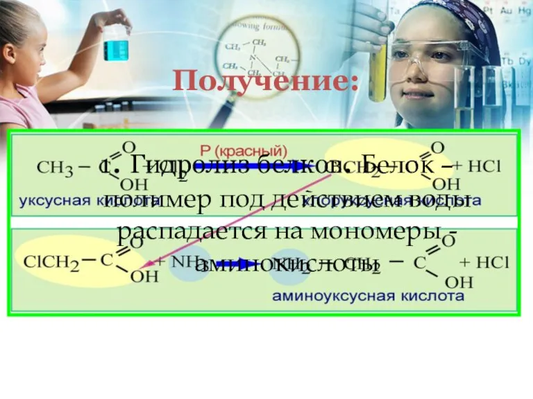 Получение: 1. Гидролиз белков. Белок – полимер под действием воды распадается на мономеры - аминокислоты