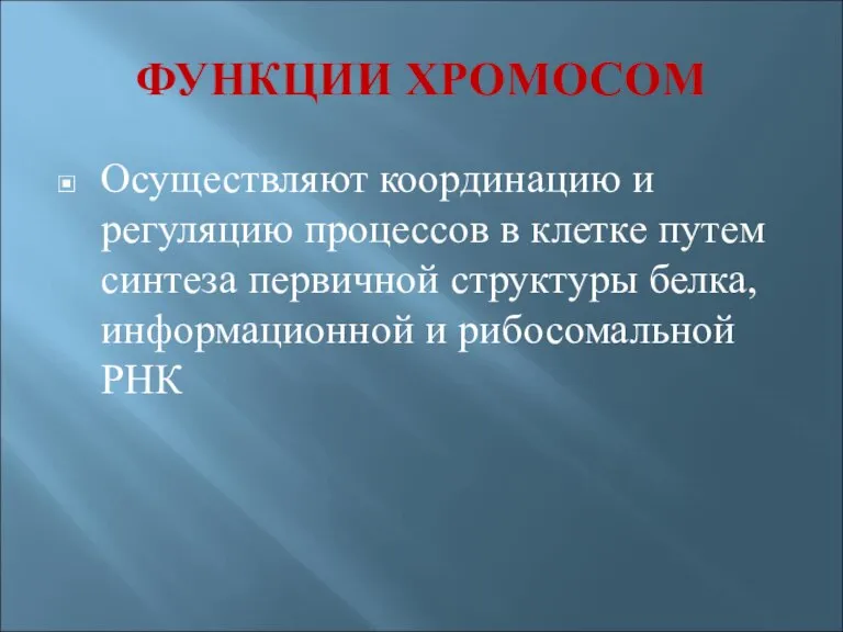 ФУНКЦИИ ХРОМОСОМ Осуществляют координацию и регуляцию процессов в клетке путем синтеза первичной