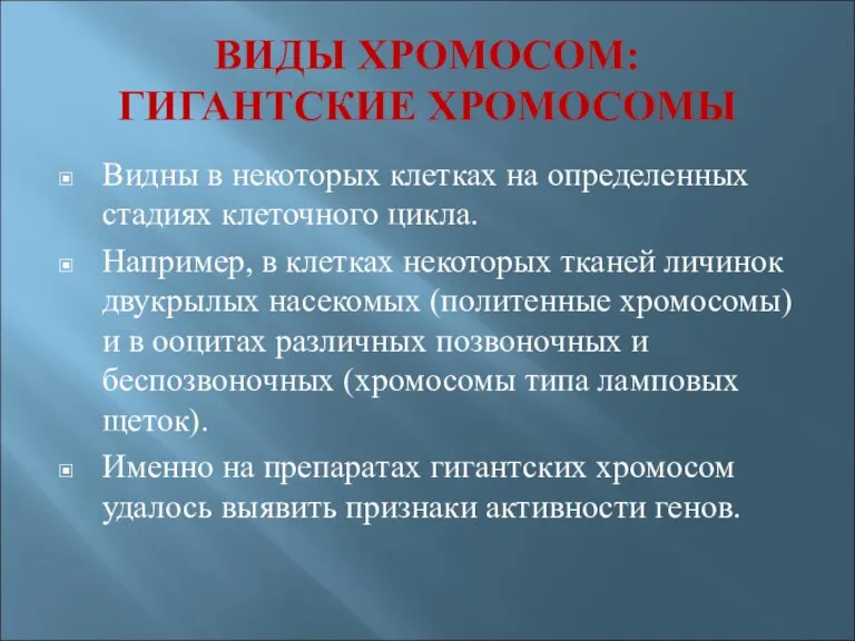 ВИДЫ ХРОМОСОМ: ГИГАНТСКИЕ ХРОМОСОМЫ Видны в некоторых клетках на определенных стадиях клеточного