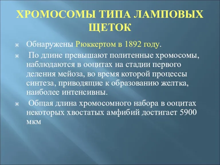 ХРОМОСОМЫ ТИПА ЛАМПОВЫХ ЩЕТОК Обнаружены Рюккертом в 1892 году. По длине превышают