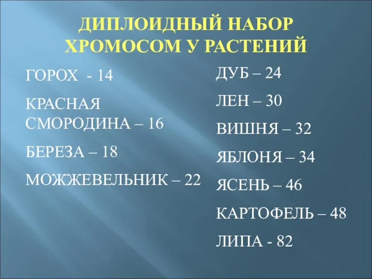 ДИПЛОИДНЫЙ НАБОР ХРОМОСОМ У РАСТЕНИЙ ГОРОХ - 14 КРАСНАЯ СМОРОДИНА – 16