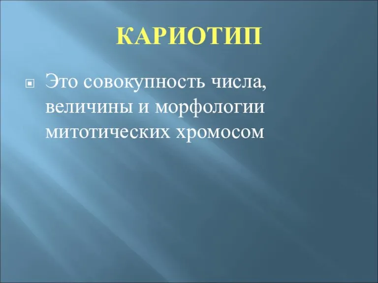 КАРИОТИП Это совокупность числа, величины и морфологии митотических хромосом