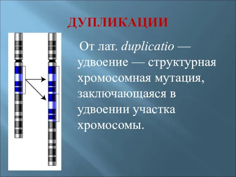 ДУПЛИКАЦИИ От лат. duplicatio — удвоение — структурная хромосомная мутация, заключающаяся в удвоении участка хромосомы.