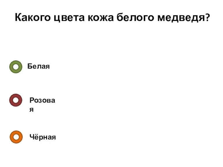 Какого цвета кожа белого медведя? Белая Розовая Чёрная