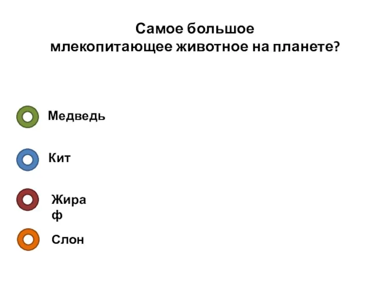 Самое большое млекопитающее животное на планете? Медведь Кит Жираф Слон