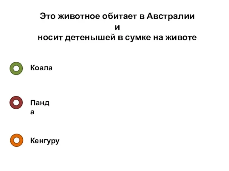 Это животное обитает в Австралии и носит детенышей в сумке на животе Коала Панда Кенгуру