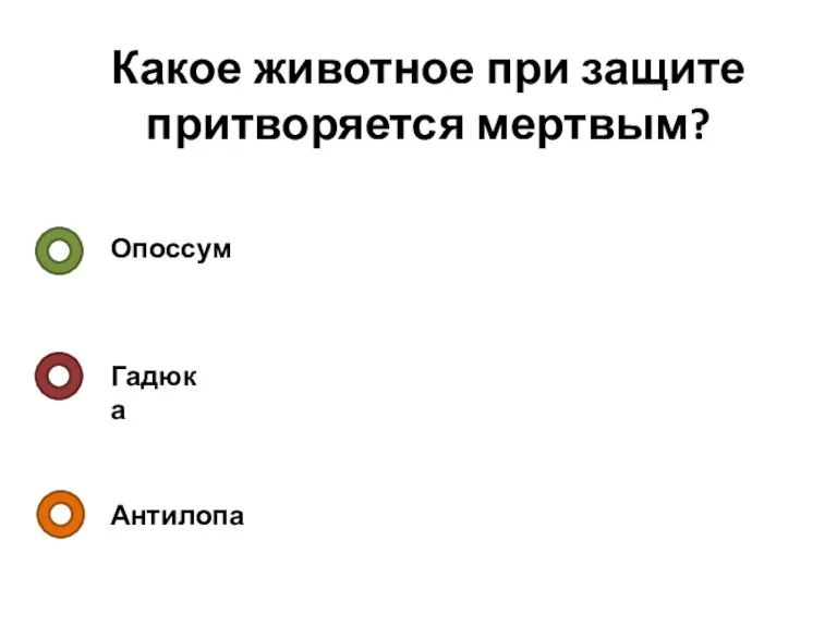 Какое животное при защите притворяется мертвым? Опоссум Гадюка Антилопа