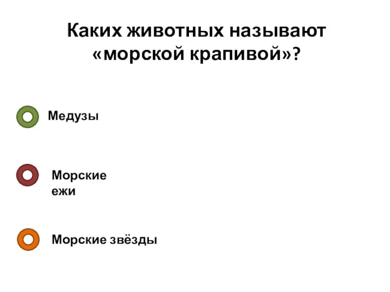 Каких животных называют «морской крапивой»? Медузы Морские ежи Морские звёзды