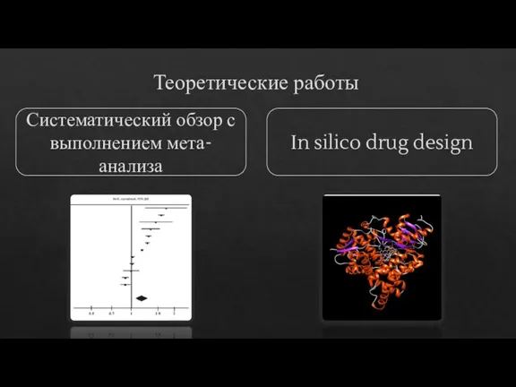 Теоретические работы Систематический обзор с выполнением мета-анализа In silico drug design
