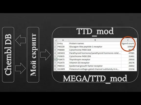 Chembl DB Мой скрипт TTD_mod MEGA/TTD_mod