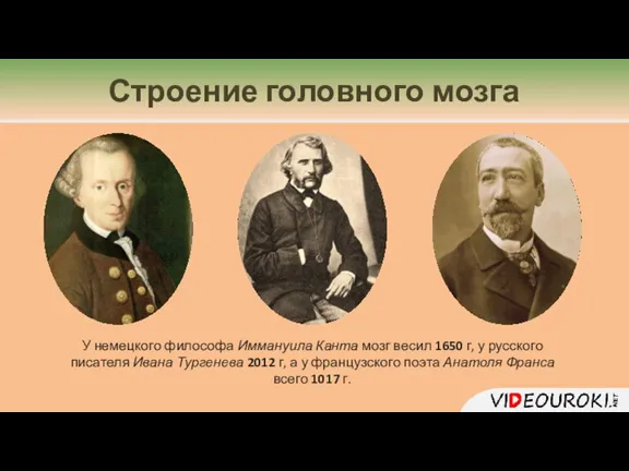 У немецкого философа Иммануила Канта мозг весил 1650 г, у русского писателя