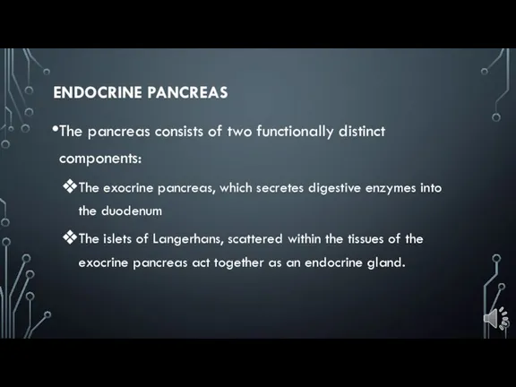 ENDOCRINE PANCREAS The pancreas consists of two functionally distinct components: The exocrine