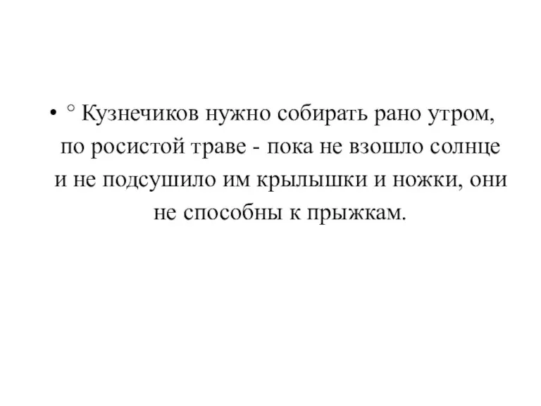 ° Кузнечиков нужно собирать рано утром, по росистой траве - пока не