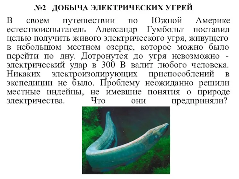 №2 ДОБЫЧА ЭЛЕКТРИЧЕСКИХ УГРЕЙ В своем путешествии по Южной Америке естествоиспытатель Александр