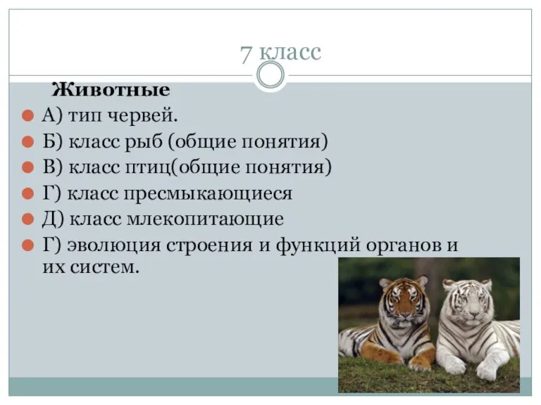 7 класс Животные А) тип червей. Б) класс рыб (общие понятия) В)